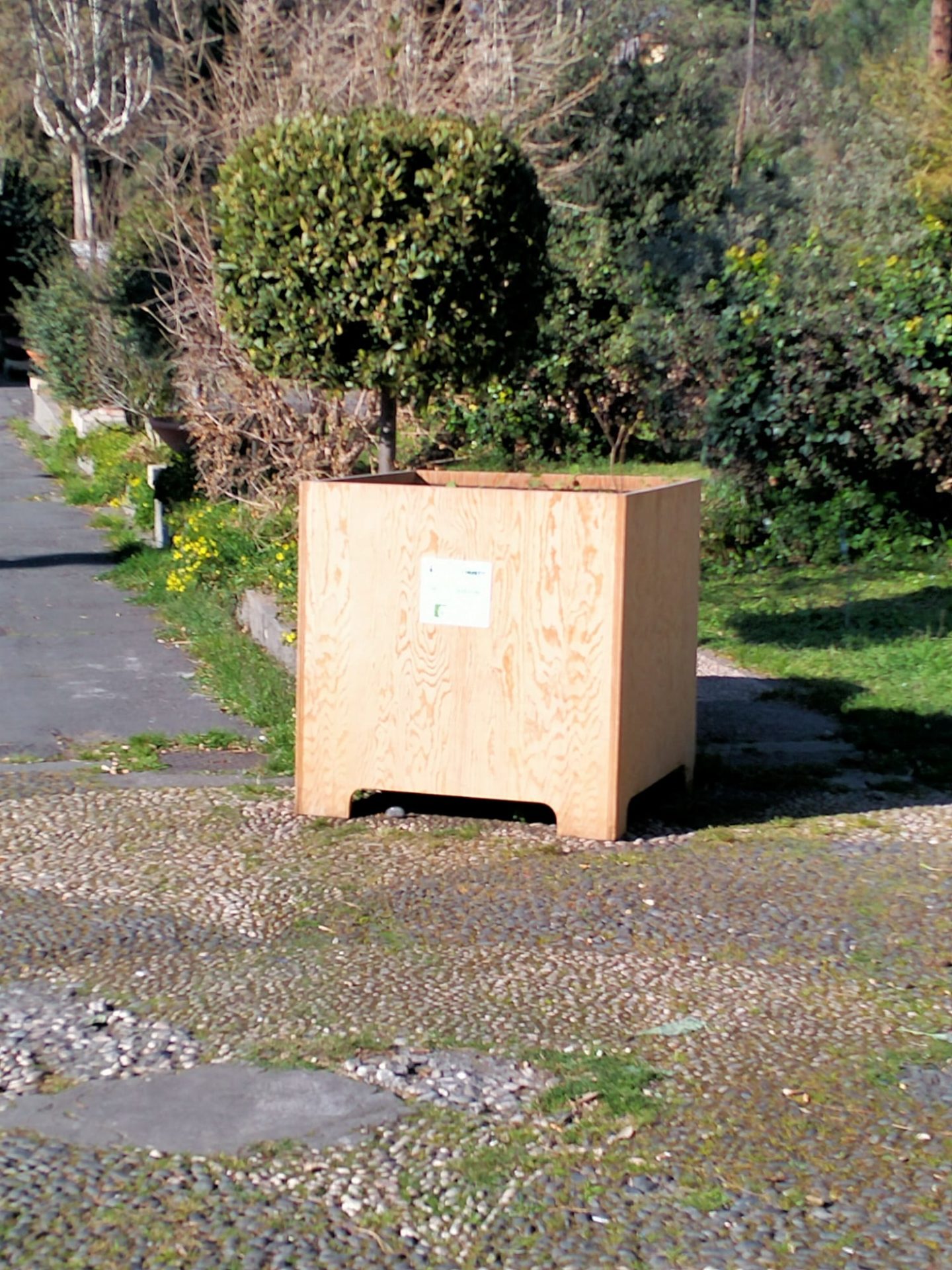 PATERNO'  VANDALI DANNEGGIANO LE PIANTINE ALLA VILLA