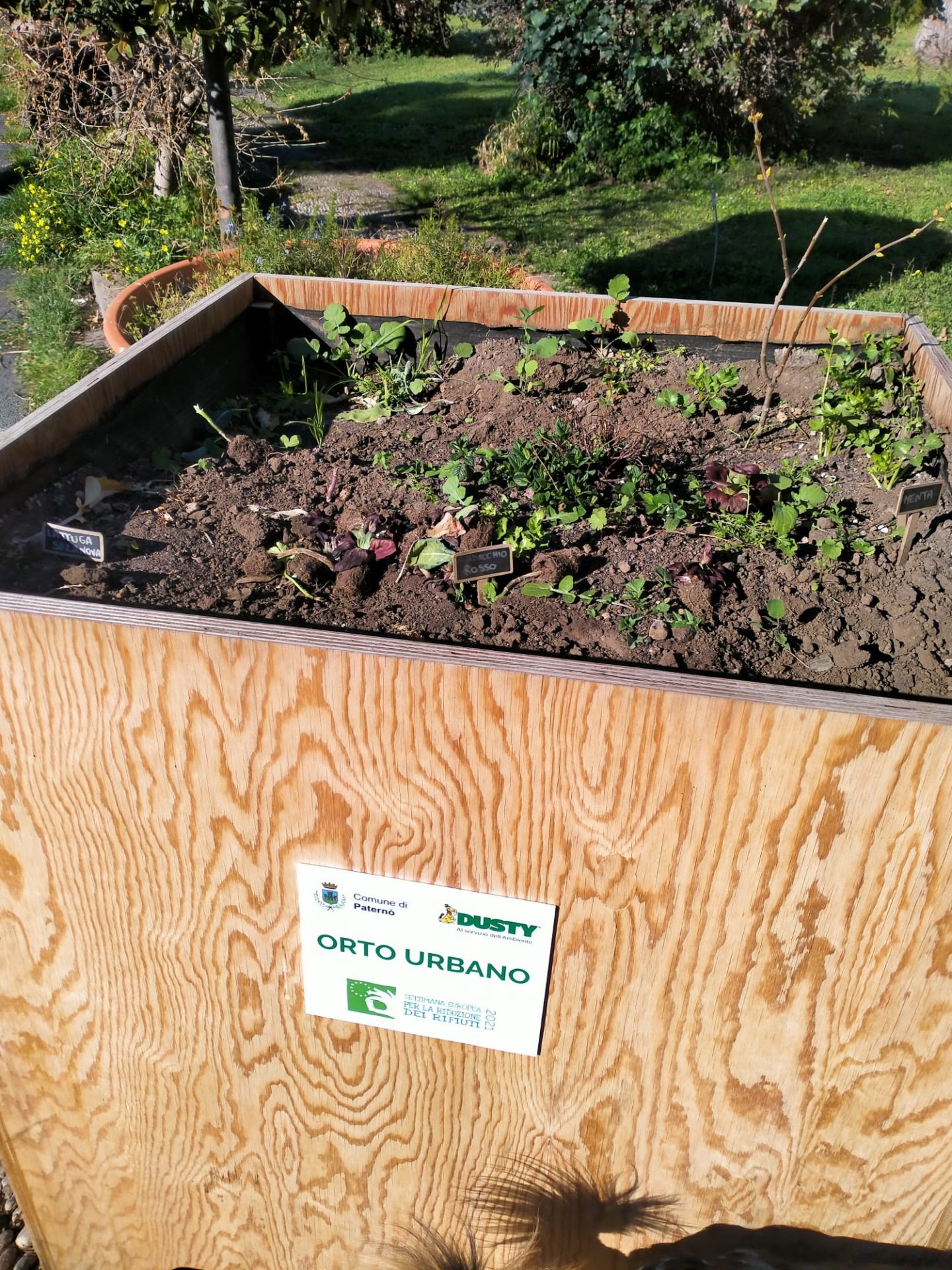 PATERNO'  VANDALI DANNEGGIANO LE PIANTINE ALLA VILLA