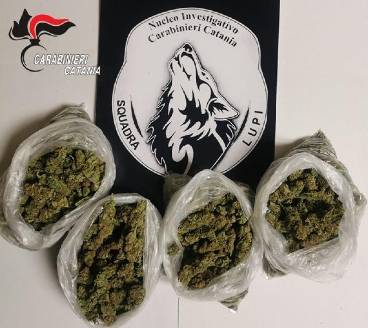 CATANIA. SPACCIAVA DAL BALCONE DI CASA, ARRESTATO - 