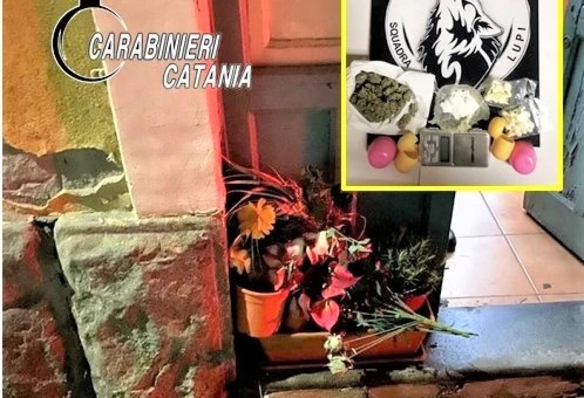 CATANIA.  UTILIZZATA FIORIERA COME DEPOSITO DELLA DROGA: ARRESTATO 49ENNE - 