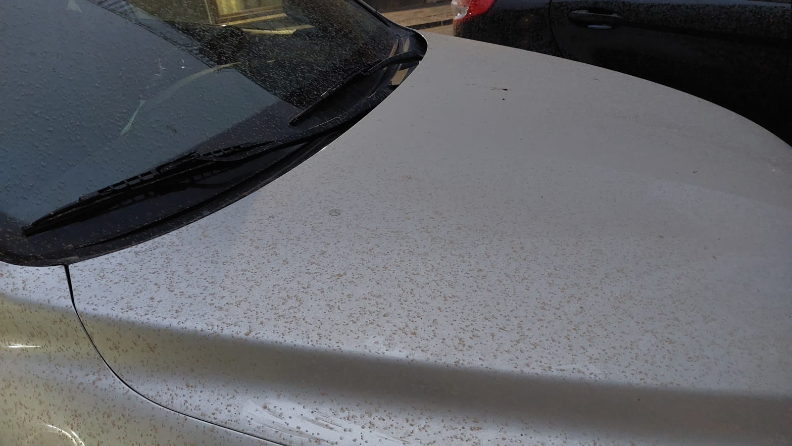 LA POLVERE DEL SAHARA SU PATERNÒ PIOVE SABBIA