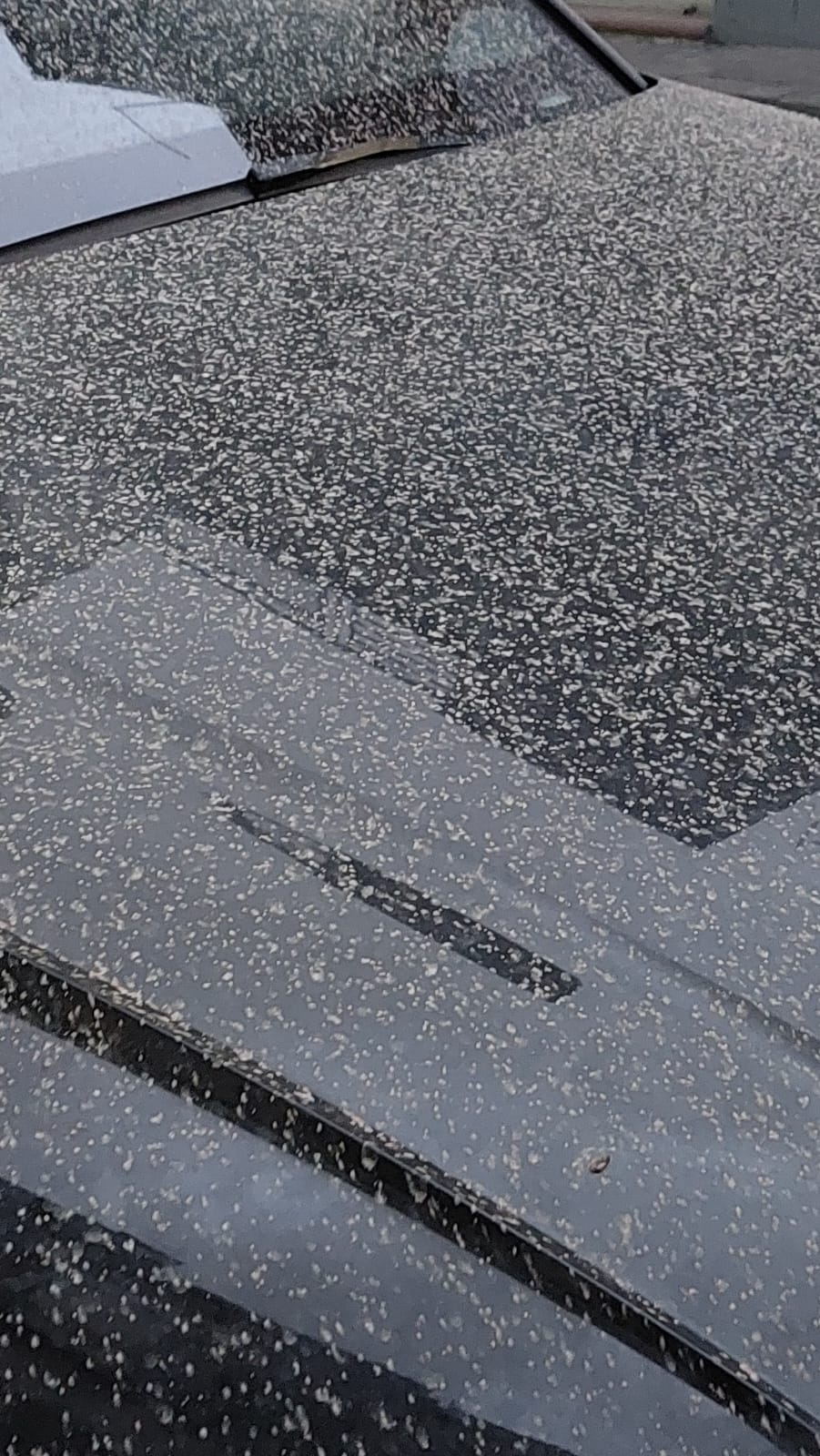 LA POLVERE DEL SAHARA SU PATERNÒ PIOVE SABBIA