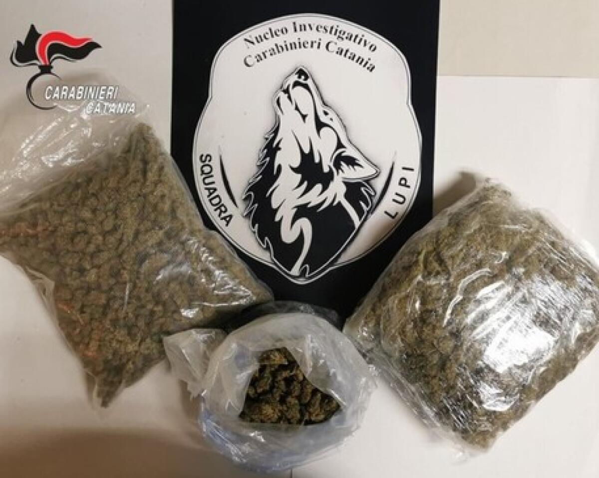 NASCONDEVA UN CHILO DI “DROGA” IN CASA: ARRESTATO E SOSPENSIONE   DEL REDDITO DI CITTADINANZA - 