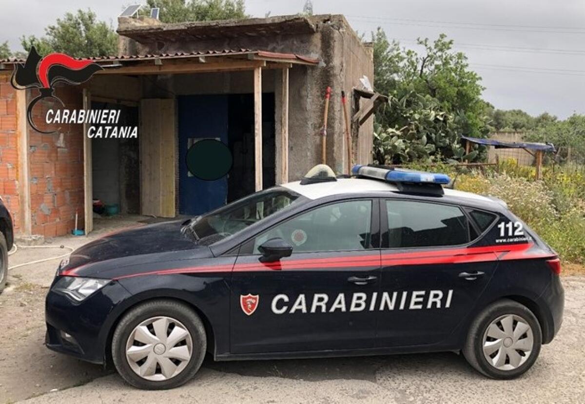 PATERNO’. 3 CAVALLI SOTTOPOSTI A SEQUESTRO, RINVENUTE UNA PISTOLA SEMI AUTOMATICA E MUNIZIONI: DENUNCIATO UN 31ENNE - 