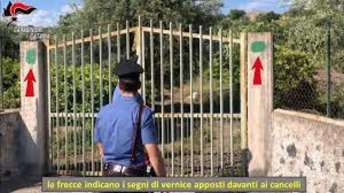 GUARDIANI ABUSIVI CON REDDITO CITTADINANZA: CINQUE INDAGATI TRA CUI DUE PATERNESI - 