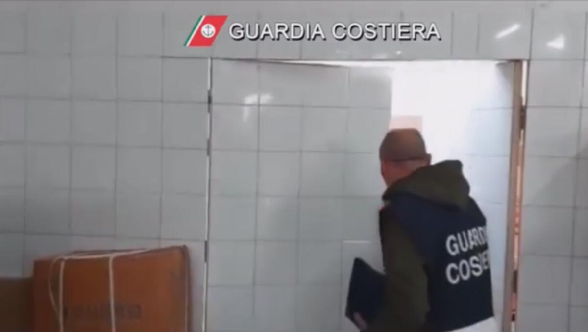 SCOPERTO A LIVORNO UN MAGAZZINO NASCOSTO IN UN SUPERMERCATO CON 8 QUINTALI DI PESCE SCADUTO - 