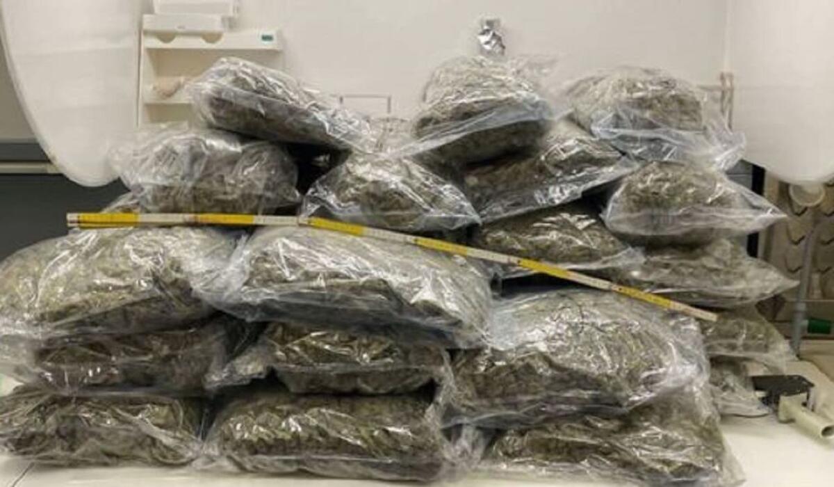 ARRESTATO CORRIERE PROVENIENTE DALLA CALABRIA CON OLTRE 32KG DI DROGA - 