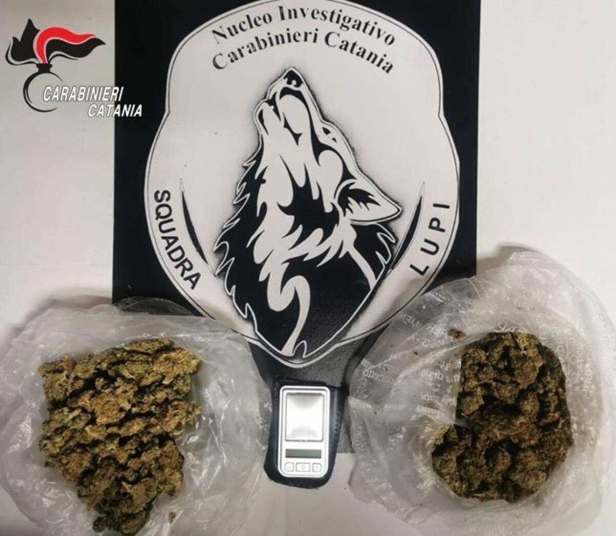 MOTTA SANT'ANASTASIA:  GIÀ “CLIENTE “DEI LUPI: ARRESTATO 30ENNE CHE SPACCIAVA AI DOMICILIARI - 