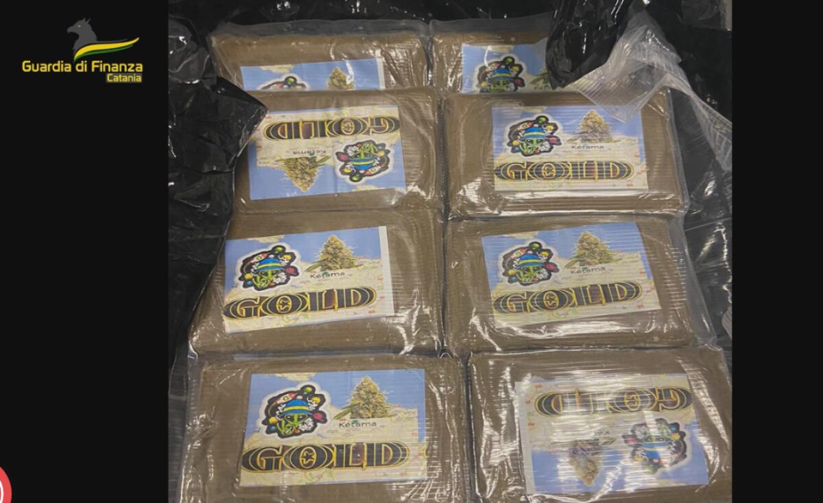 ARRESTATO A MILANO 49ENNE DI GIARRE CON 47 CHILOGRAMMI DI COCAINA E HASHISH - 