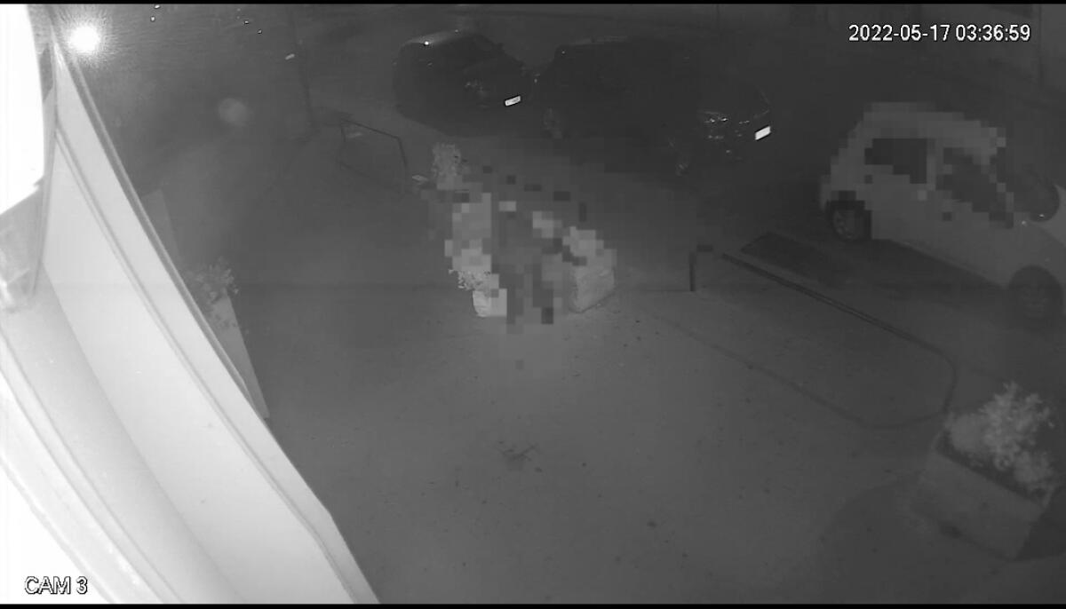 PATERNO': IL LADRO DEGLI ADDOBBI COLPISCE ANCORA - 