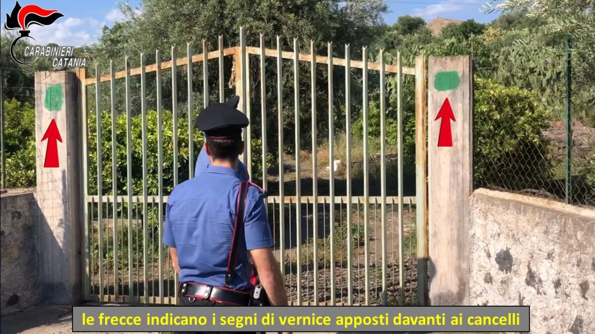 CINQUE ARRESTI TRA SANTA MARIA DI LICODIA E PATERNÒ PER LA GUARDIANIA DEI TERRENI - 