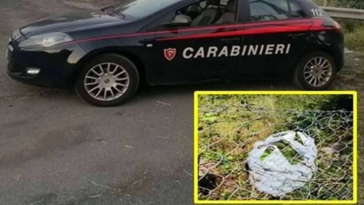 RIPOSTO. RUBA 80 CHILOGRAMMI DI AVOCADI: ARRESTATO - 