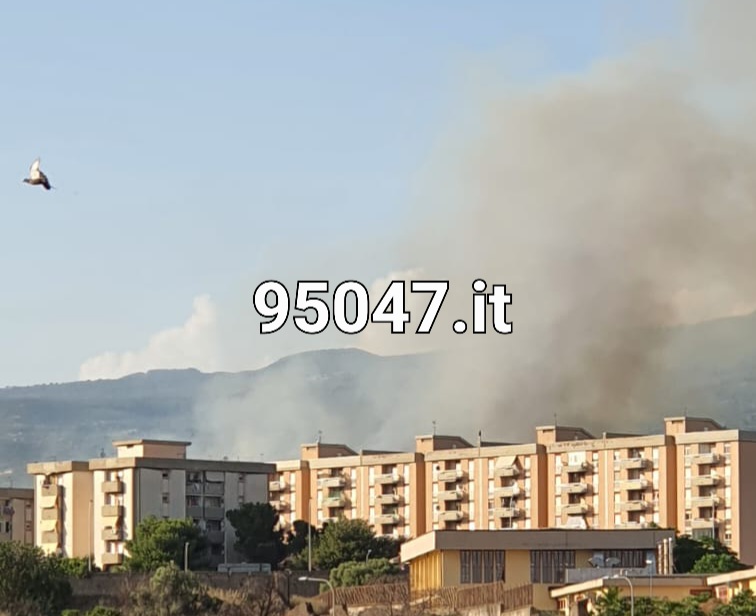 STERPAGLIE E RIFIUTI IN FIAMME IN ZONA VIALE DEI PLATANI: DENSA COLONNA DI FUMO GRIGIO IN CIELO