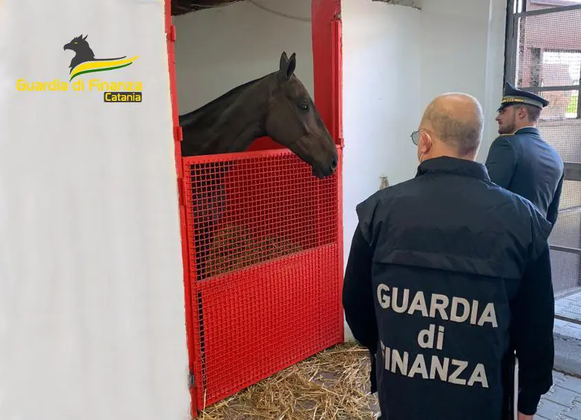 SEQUESTRATI SOCIETA' E BENI PER OLTRE UN MILIONE DI EURO AD IMPRENDITORE DI PALAGONIA