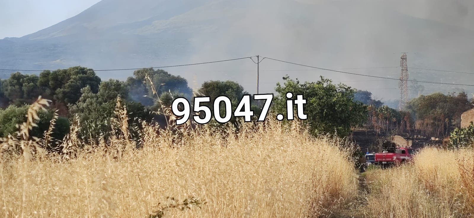 STERPAGLIE E RIFIUTI IN FIAMME IN ZONA VIALE DEI PLATANI: DENSA COLONNA DI FUMO GRIGIO IN CIELO