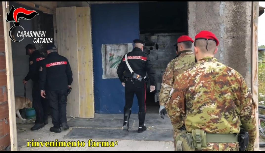 PATERNO':CORSE CLANDESTINE DI CAVALLI E ARMI: INCASTRATO DAI VIDEO SUI SOCIAL