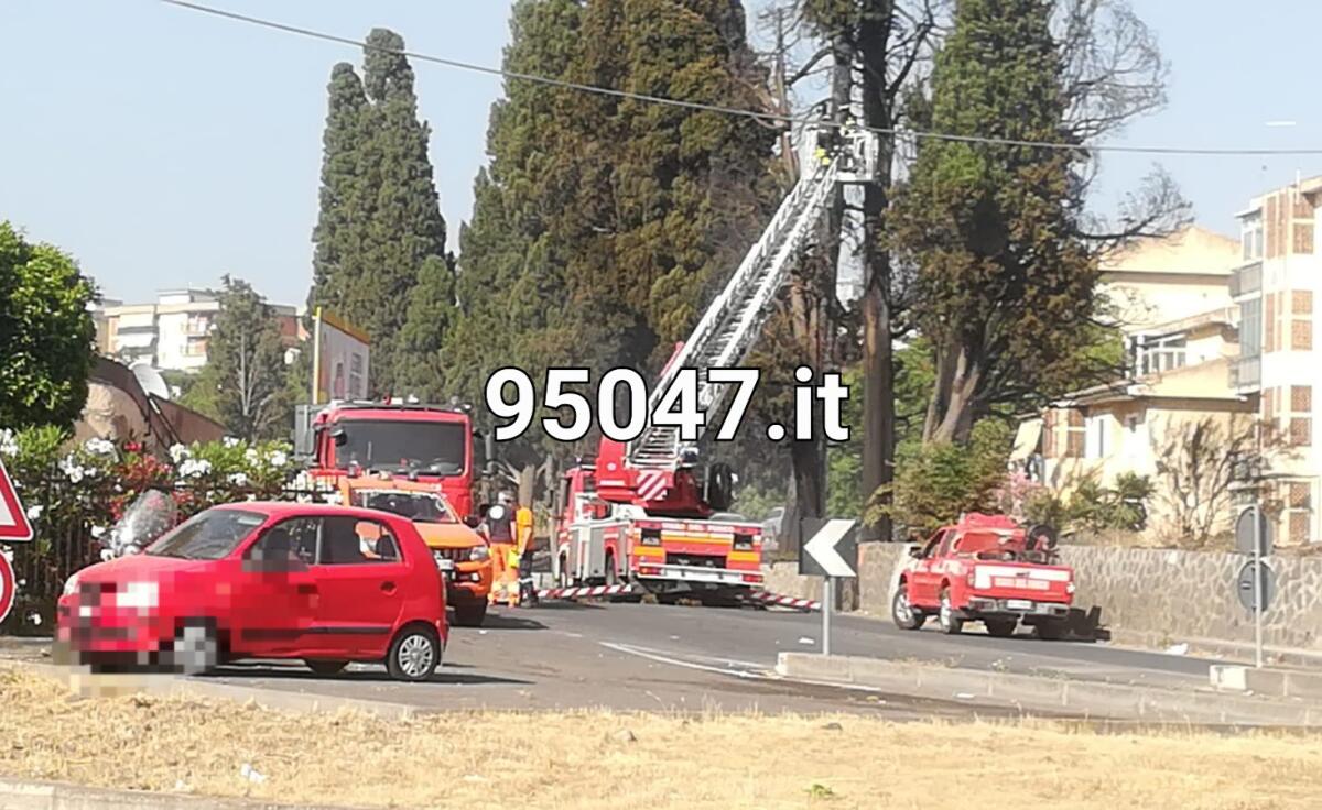 PATERNÒ: VIA DELLE ARTI E DEI MESTIERI, STRADA CHIUSA AL TRAFFICO PER LA MESSA IN SICUREZZA DEGLI ALBERI - 