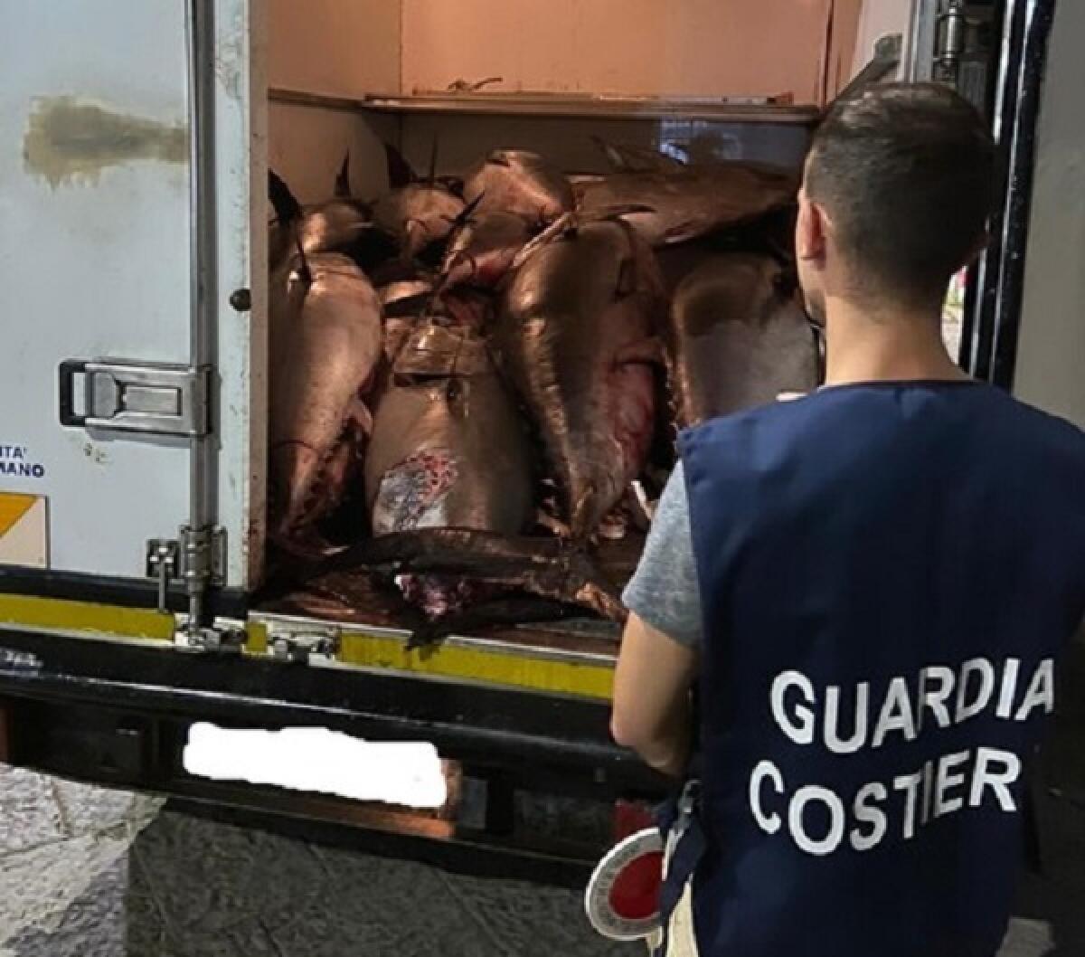 Catania: la Guardia Costiera sequestra 13 tonni rossi - 