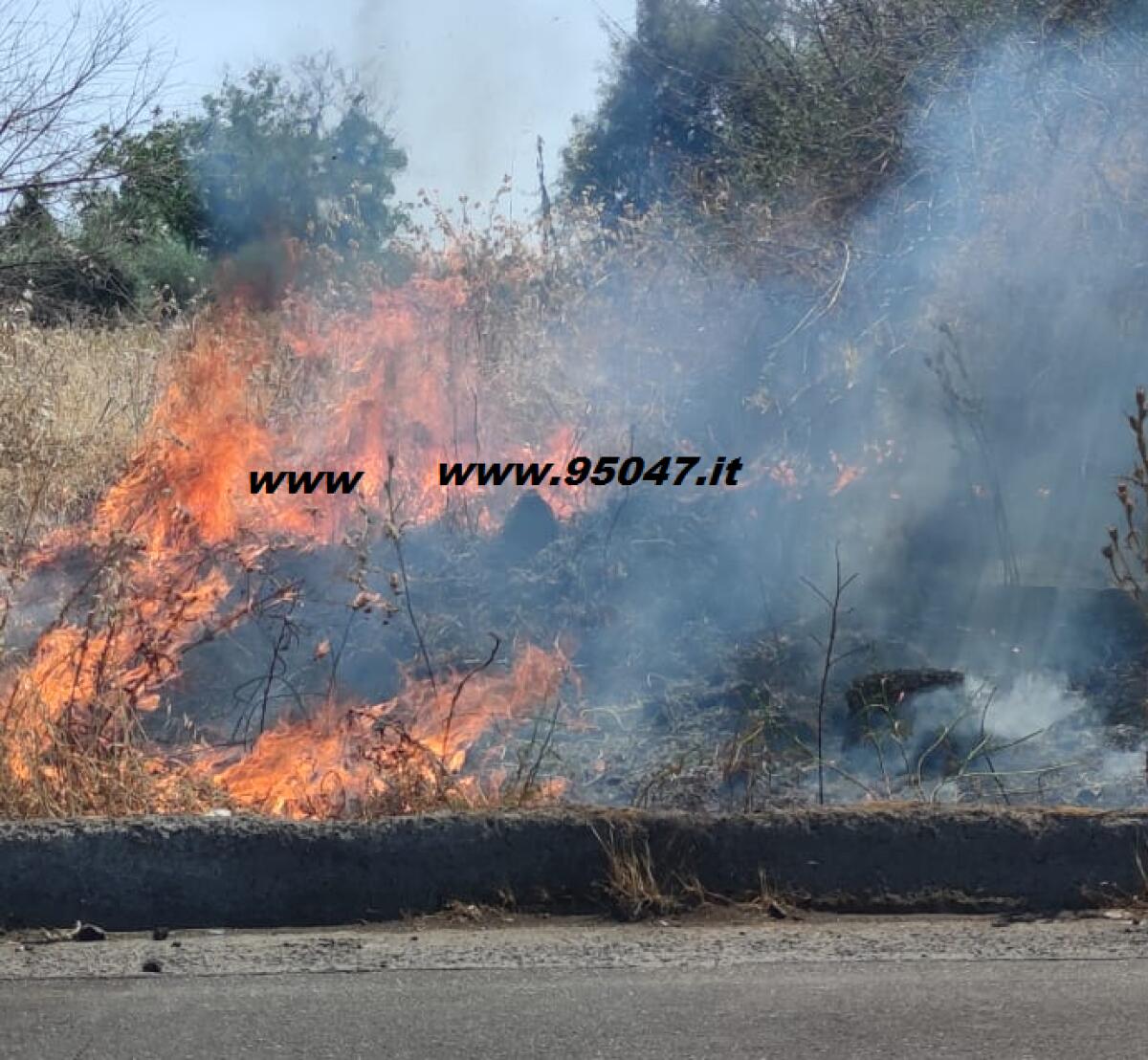 RISCHIO INCENDI ALTO IN SICILIA, CINQUE PROVINCE OGGI DA BOLLINO ROSSO - 