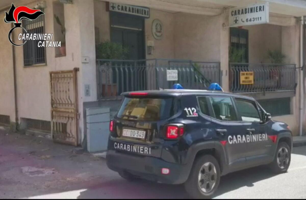 LINGUAGLOSSA. IL CANE BLACK UCCISO DA UN WURSTEL AVVELENATO, INCASTRATO DALLE TELECAMERE L'AUTORE - 