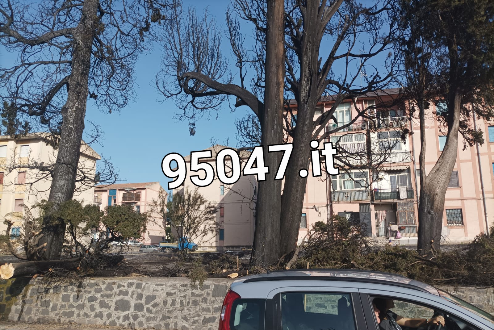 PATERNÒ: VIA DELLE ARTI E DEI MESTIERI, STRADA CHIUSA AL TRAFFICO PER LA MESSA IN SICUREZZA DEGLI ALBERI