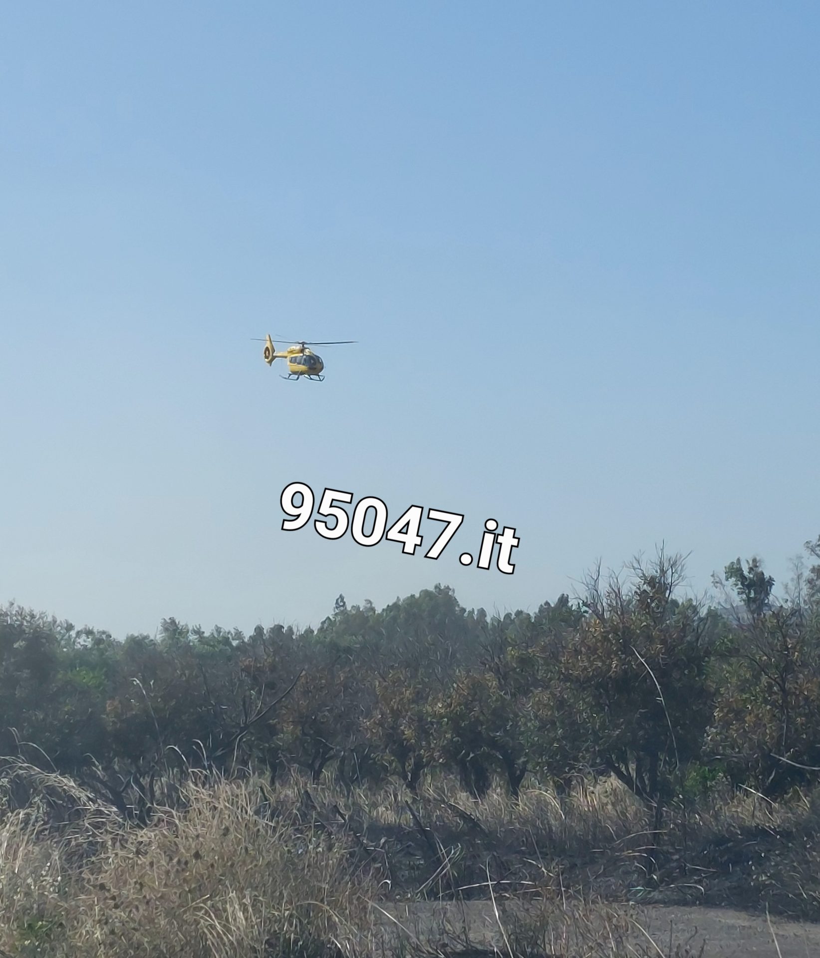 GRAVISSIMO INCIDENTE SULL'A19, CINQUE AUTO COINVOLTE E DUE FERITI. ELISSOCORSO SUL POSTO