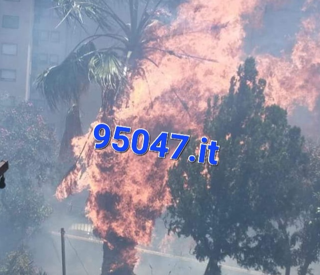 PATERNO': INCENDIO NEL CORTILE DI UN CONDOMINIO, TANTA PAURA, POCHI DANNI (PER FORTUNA)