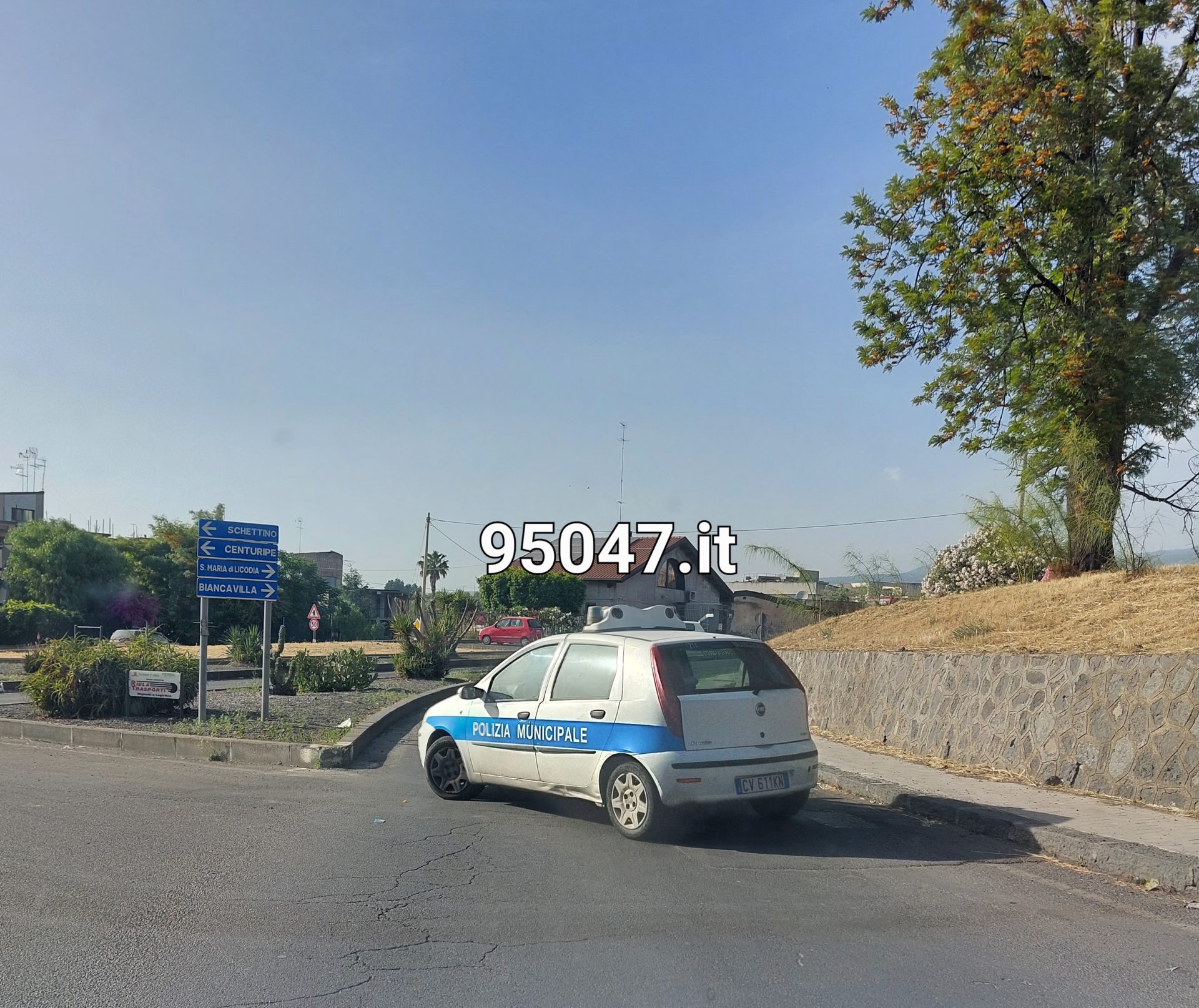 PATERNÒ: VIA DELLE ARTI E DEI MESTIERI, STRADA CHIUSA AL TRAFFICO PER LA MESSA IN SICUREZZA DEGLI ALBERI