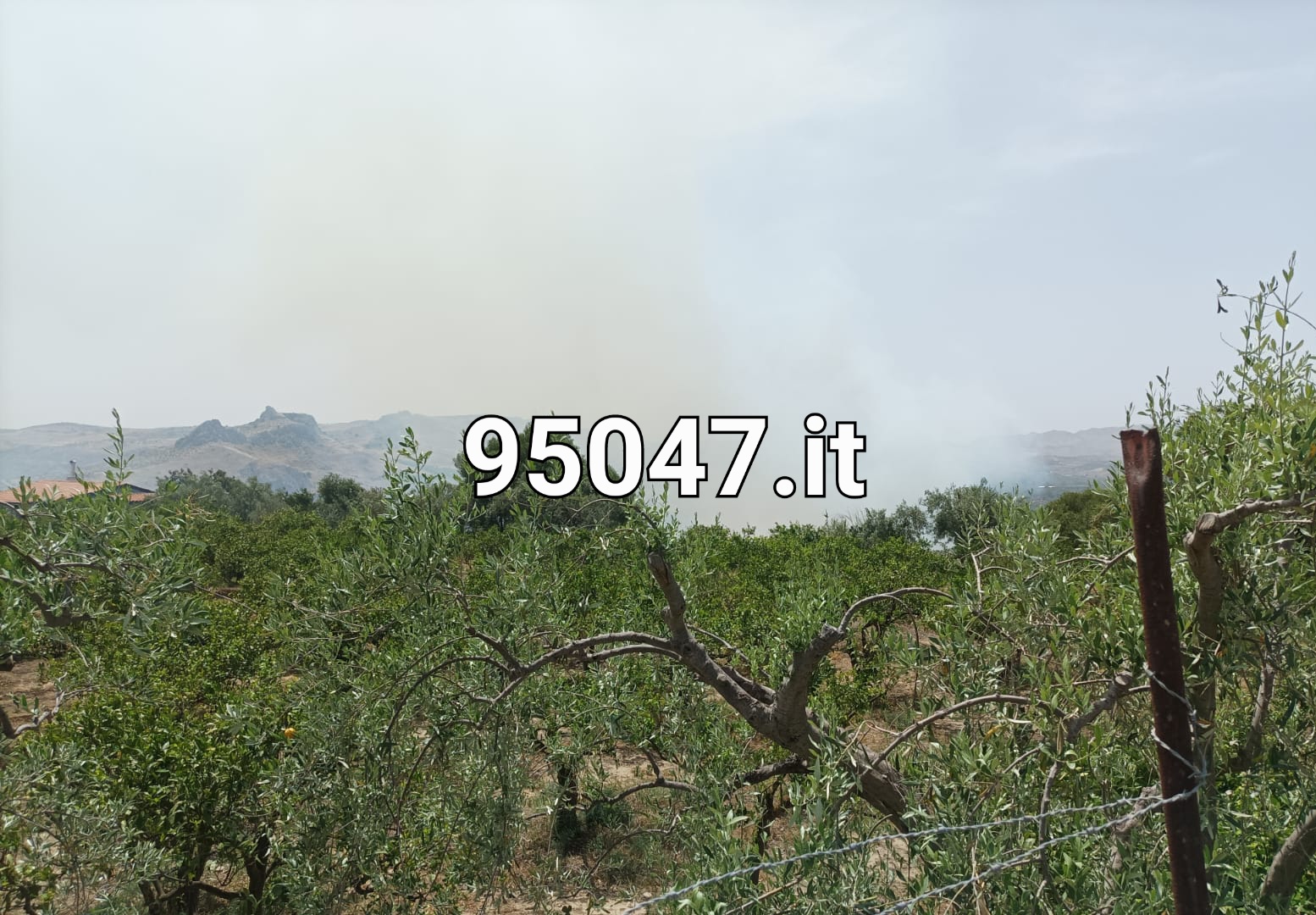 PATERNÒ: VASTO INCENDIO DI STERPAGLIE  IN ZONA PIETRALUNGA: DENSA COLONNA DI FUMO GRIGIO IN CIELO