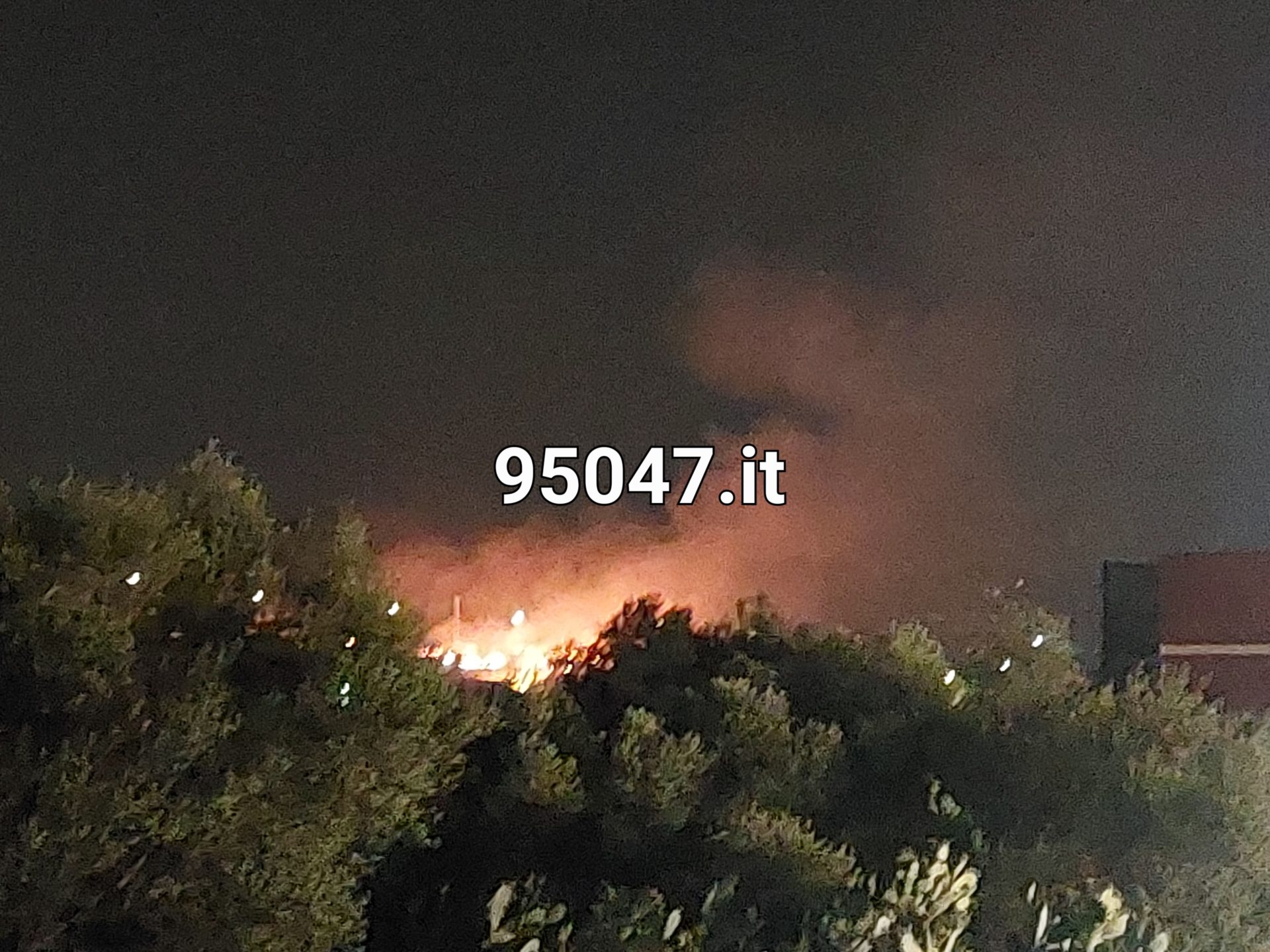 PATERNÒ: NELLA NOTTE VASTO INCENDIO DI STERPAGLIE VICINO ALLE CASE (foto e video)