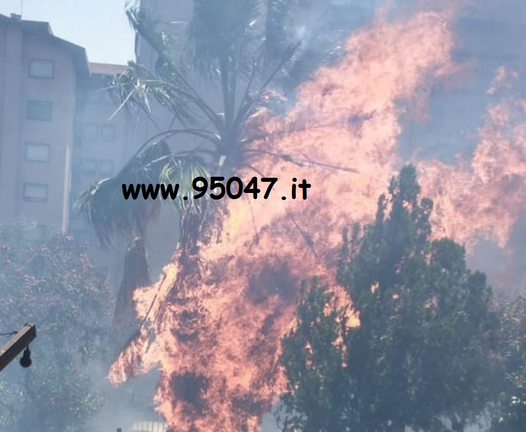 VARI E VASTI INCENDI DI STERPAGLIA IN CORSO A PATERNÒ