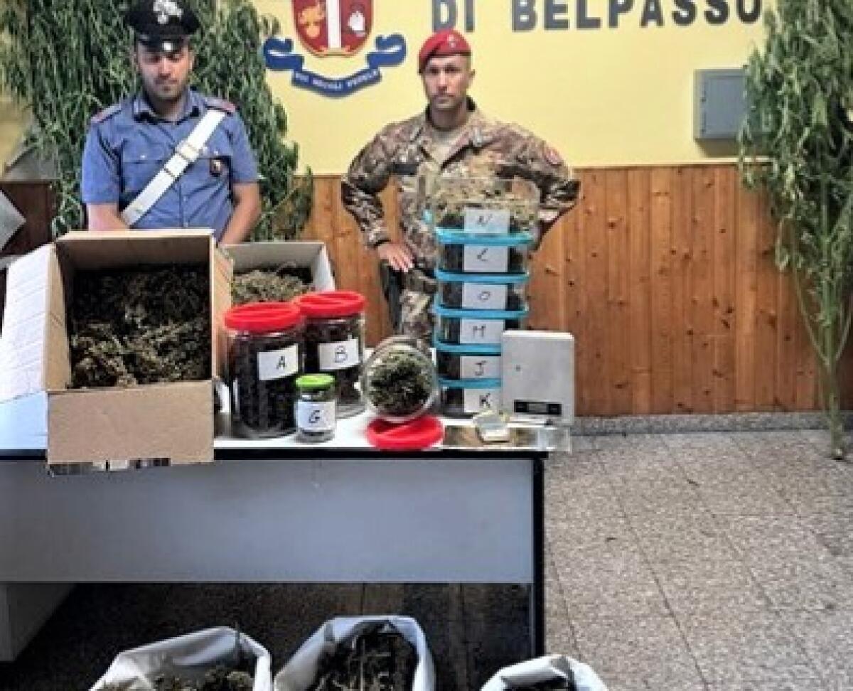 BELPASSO. COLTIVATORE PROFESSIONISTA DI ERBA “PREGIATA”: ARRESTATO CON SOLDI E DROGA - 