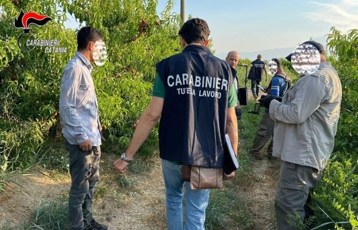 PAGAVA GLI OPERAI IN NERO 200 EURO AL MESE, GRAZIE ALLA LORO DENUNCIA ARRIVA L'INTERDITTIVA PER UN IMPRENDITORE AGRICOLO DI RAGALNA - 