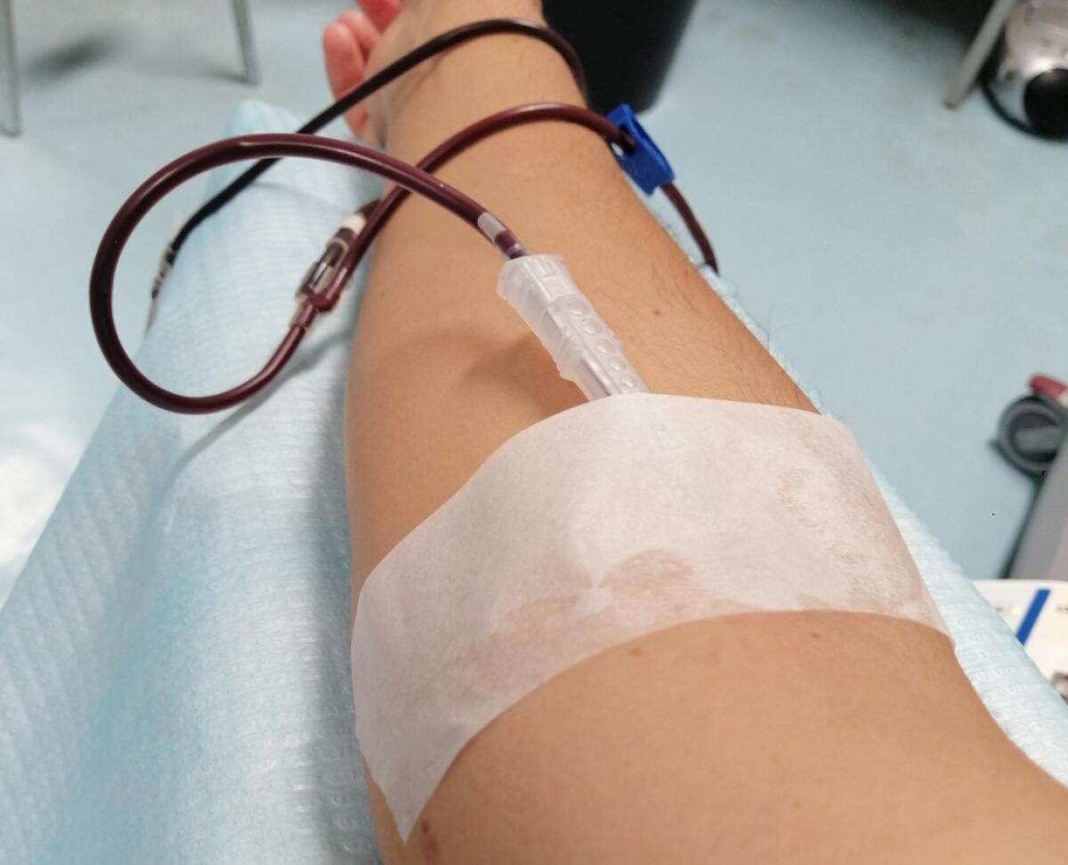 CENTRO TRASFUSIONALE E AVIS DEL CANNIZZARO, RACCOLTA SANGUE IN CALO, APPELLO AI DONATORI - 