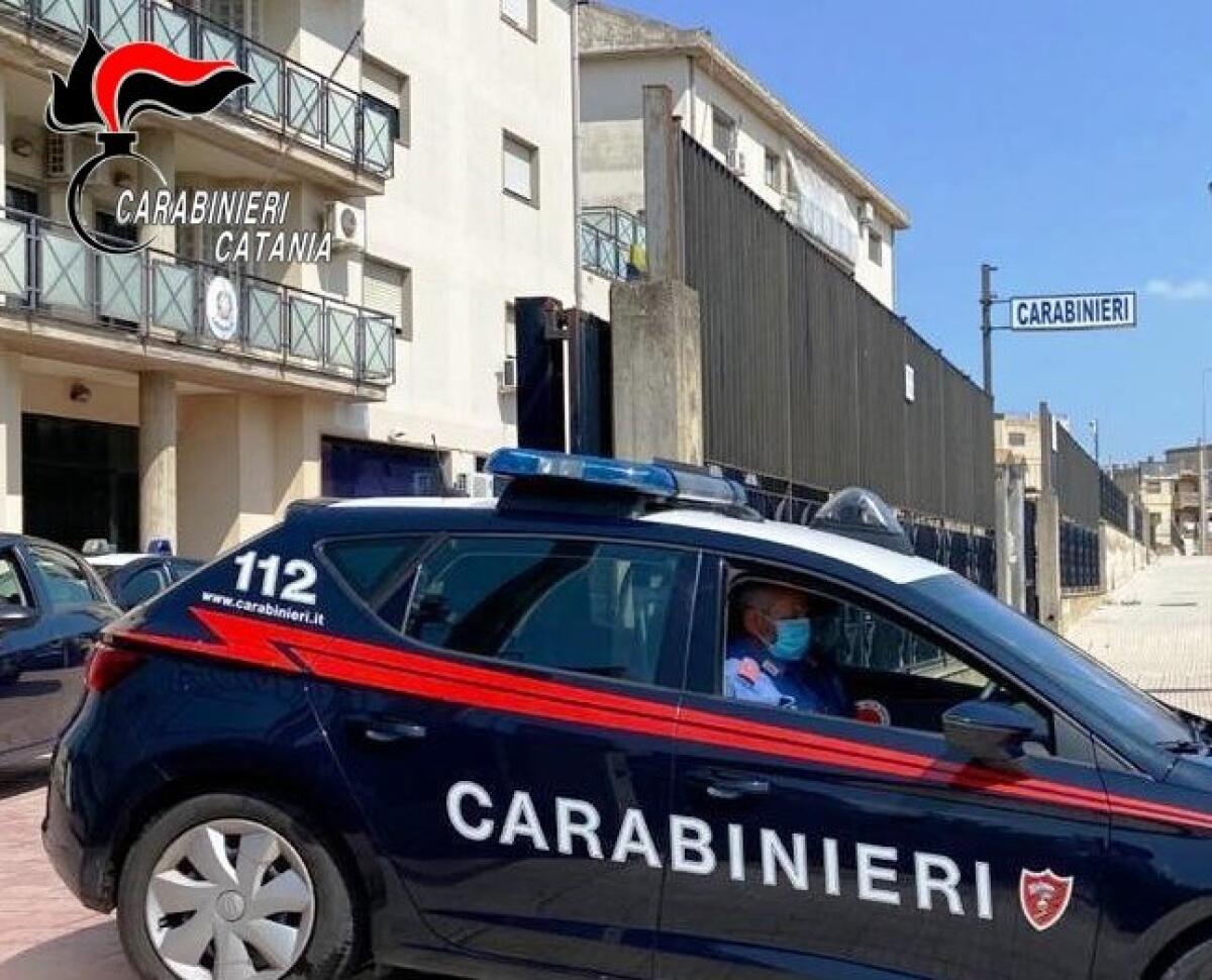 CALTAGIRONE. CONTINUAVA A TRASPORTARE AMMALATI SENZA AUTORIZZAZIONE: DENUNCIATO - 