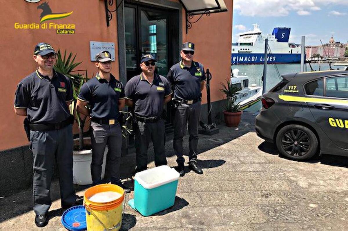 LA GUARDIA DI FINANZA SEQUESTRA 60 CHILOGRAMMI DI “BIANCHETTO” AL PORTO DI CATANIA - 