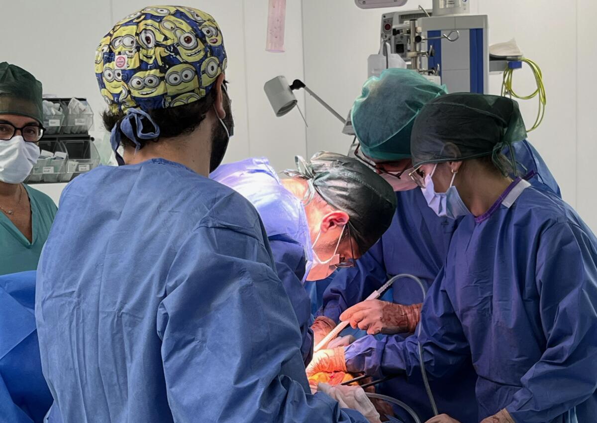 Prelievo multiorgani su un 70enne al San Marco di Catania - 