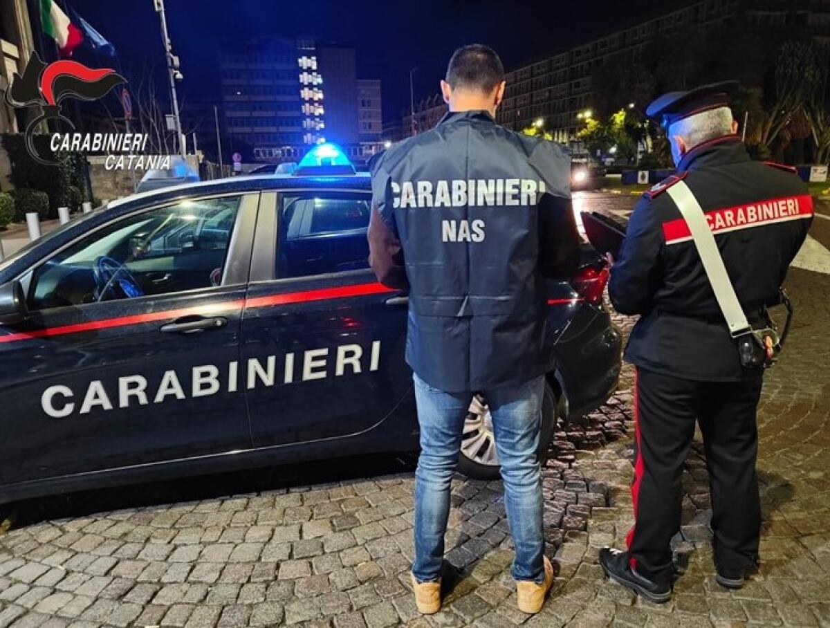 ACIREALE E ACI CASTELLO. ATTIVITÀ ISPETTIVE AI RISTORANTI E CONTROLLI ALLA CIRCOLAZIONE STRADALE. - 