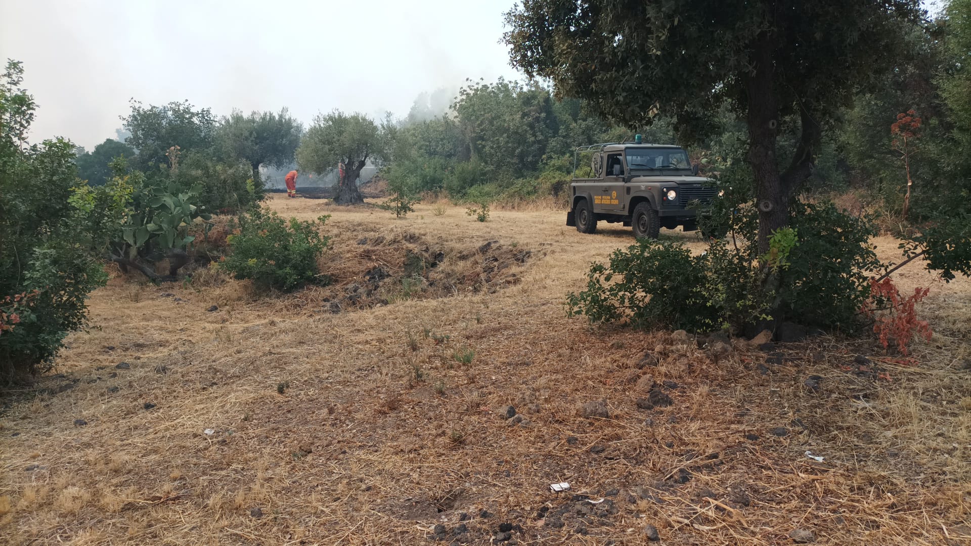 VASTO INCENDIO STERPAGLIE VICINO ALLE CASE A RAGALNA,  SUL POSTO ELICOTTERO DELLA FORESTALE