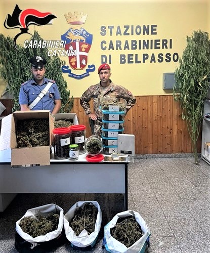 BELPASSO. COLTIVATORE PROFESSIONISTA DI ERBA “PREGIATA”: ARRESTATO CON SOLDI E DROGA