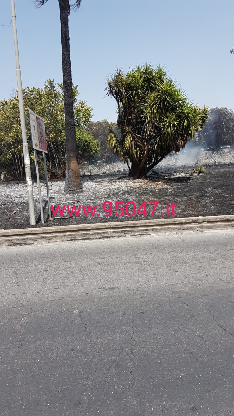 ENNESIMO INCENDIO DI STERPAGLIE A PATERNÒ, QUESTA VOLTA TOCCA ALLA ROTONDA DELL'INGRESSO IN CITTÀ