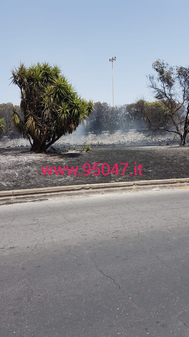 ENNESIMO INCENDIO DI STERPAGLIE A PATERNÒ, QUESTA VOLTA TOCCA ALLA ROTONDA DELL'INGRESSO IN CITTÀ