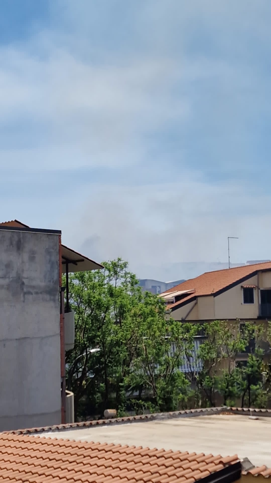 PATERNÒ: VASTO INCENDIO STERPAGLIE IN ZONA SCALA VECCHIA