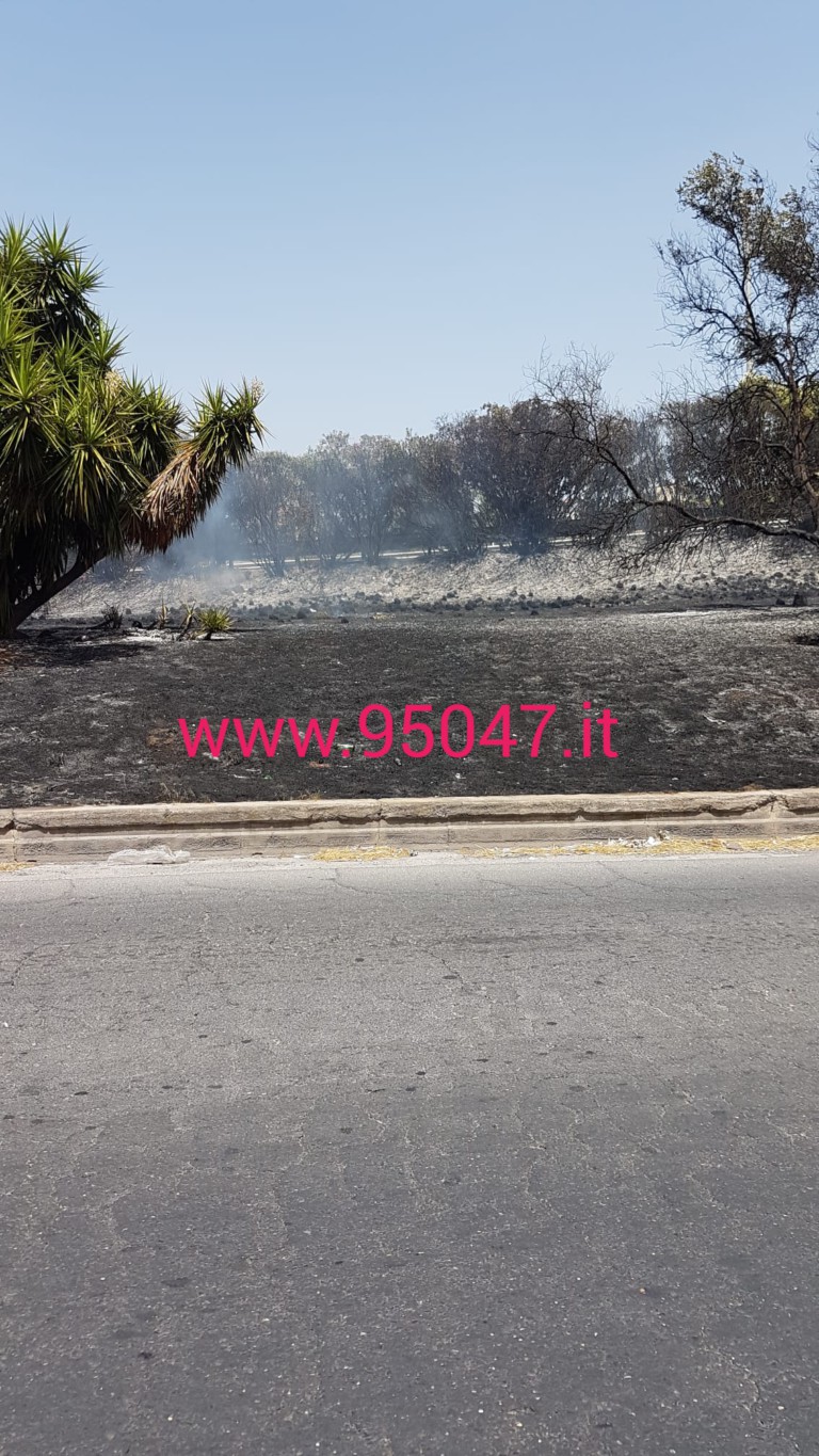 ENNESIMO INCENDIO DI STERPAGLIE A PATERNÒ, QUESTA VOLTA TOCCA ALLA ROTONDA DELL'INGRESSO IN CITTÀ