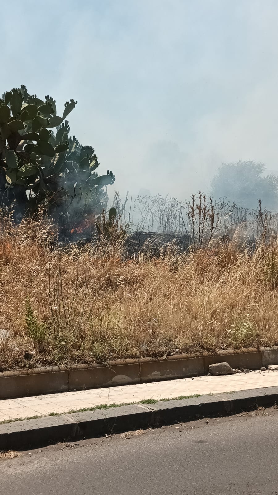 PATERNÒ: VASTO INCENDIO STERPAGLIE IN ZONA SCALA VECCHIA
