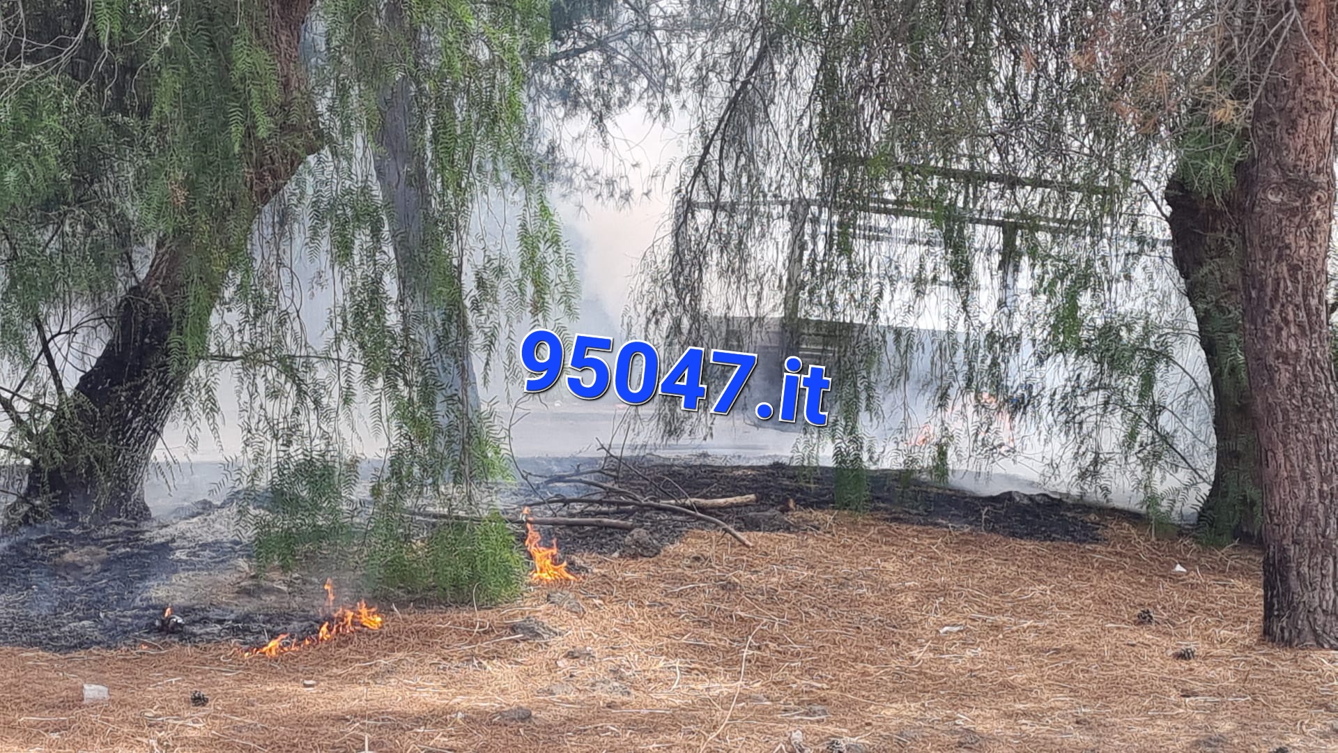 PATERNO': FURGONE PRENDE FUOCO DURANTE LA MARCIA AL CORSO ITALIA, L’INCENDIO SI PROPAGA ANCHE ALLE STERPAGLIE