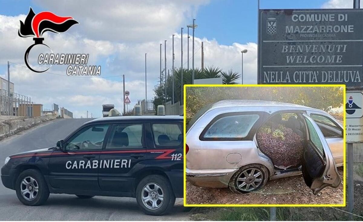 CALTAGIRONE, LICODIA EUBEA, MAZZARRONE . ATTIVITÀ DI CONTRASTO DEI CARABINIERI AI FURTI NELLE AREE RURALI - 