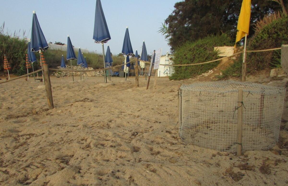 FEBBRE E VOMITO TRA I TURISTI, DIVIETO DI BALNEAZIONE IN UN TRATTO DI MARE A LAMPEDUSA - 