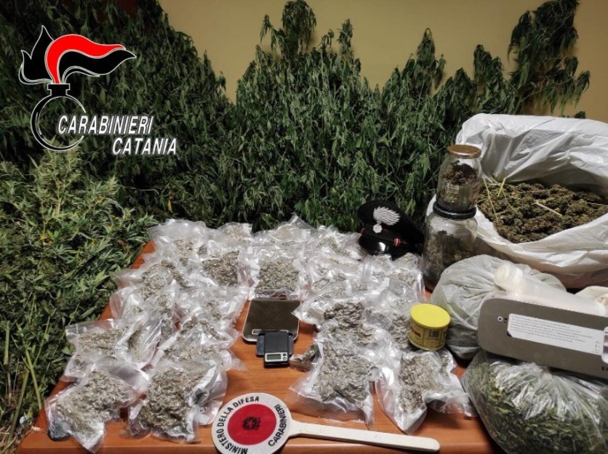 CALTAGIRONE  . UN INSOSPETTABILE PROFESSIONISTA CON IL VIZIO DEL … FUMO: ARRESTATO. - 