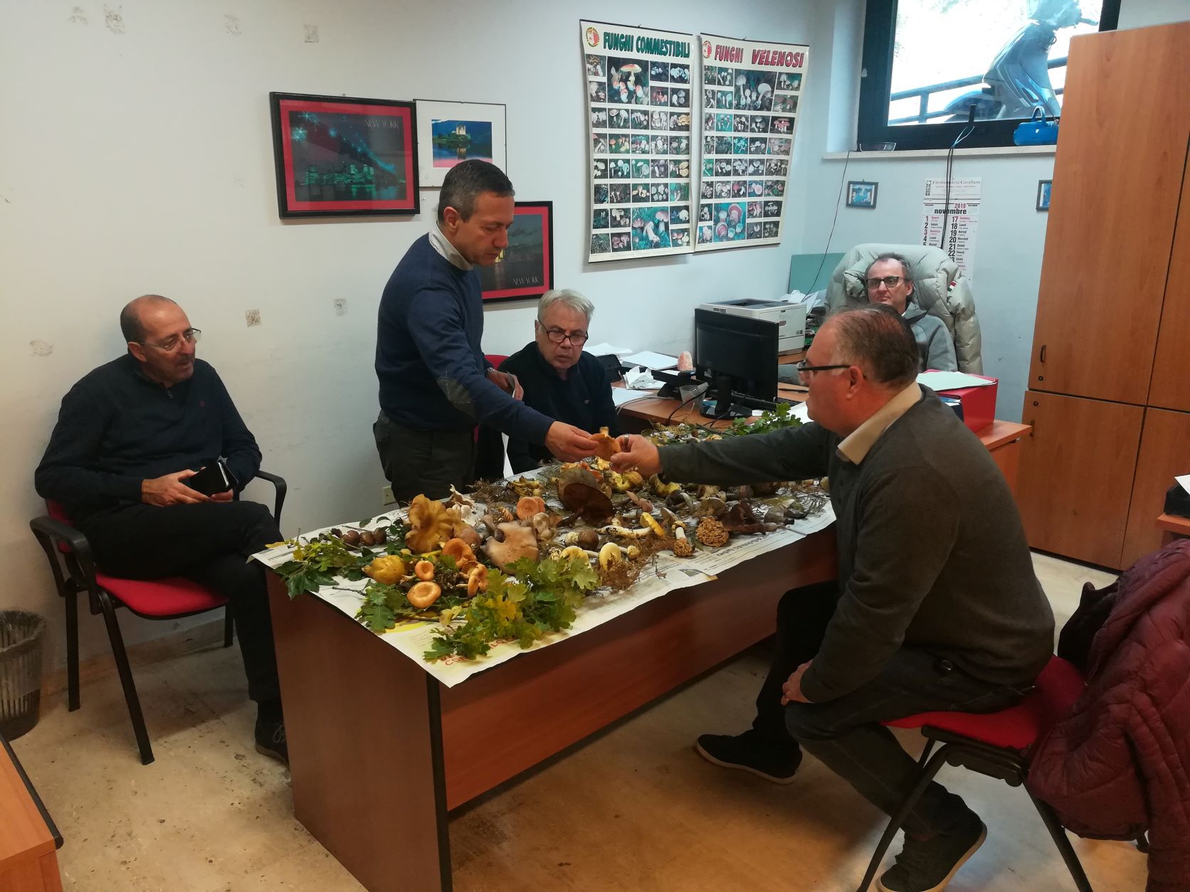 FUNGHI. IN ANTICIPO LA STAGIONE. DALL’1 SETTEMBRE RIAPRE L’ISPETTORATO MICOLOGICO DELL’ASP DI CATANIA